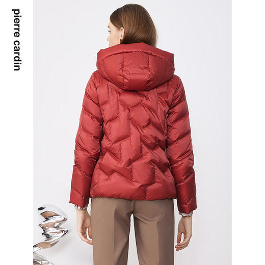 皮尔卡丹女装羽绒服简约保暖连帽通勤白鸭绒短款P3493Y3405O2 商品图2
