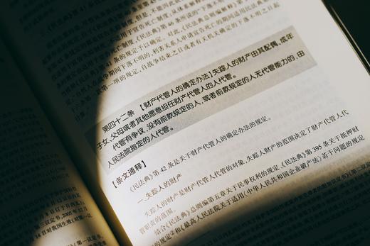 《民法典总则编通释》（逐条细致注解民法典总则编，穷尽条文中“最小单元及其组合”的含义与法律适用）丨非签名本 商品图4