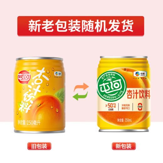 中粮杏汁礼盒250ml*10（新老包装随机发货） 商品图3