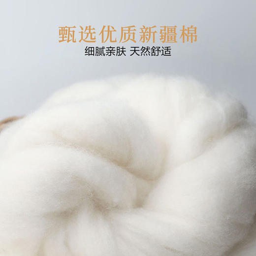 洁丽雅3双装男士棉质长筒袜大红色系舒适百搭柔软亲肤高弹男袜 商品图4