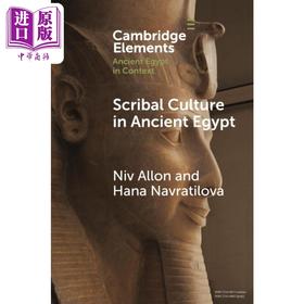 预售 【中商原版】古埃及的文字文化 考古学 Scribal Culture in Ancient Egypt 英文原版 Niv Allon