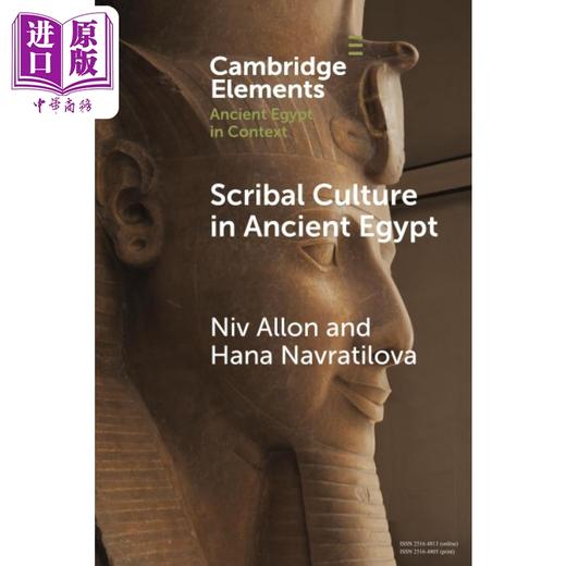 预售 【中商原版】古埃及的文字文化 考古学 Scribal Culture in Ancient Egypt 英文原版 Niv Allon 商品图0