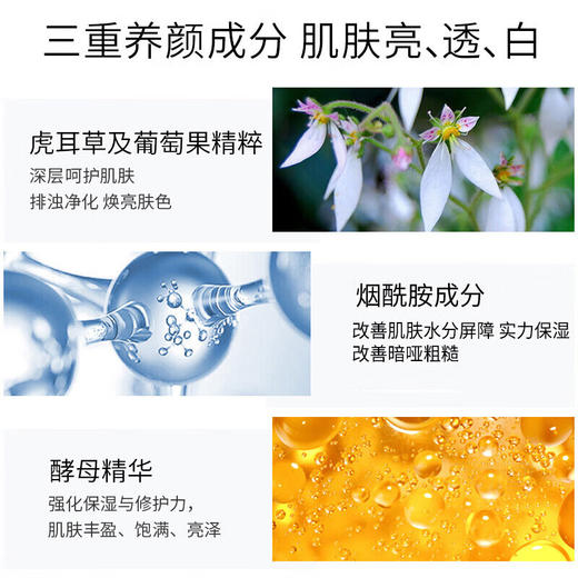 毛戈平  瓷肌莹透粉膏伴侣15ml 商品图2