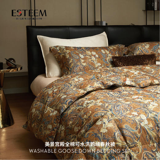 美泉宫殿全棉可水洗鹅绒春秋被 商品图2