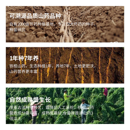 【多买多送】心酥禧 石斛铁棍山药羹288g（16gx18袋）90%鲜铁棍山药+10%的铁皮石斛 双重营养；垆土鲜铁棍山药，云南生态铁皮石斛；7斤鲜山药磨1斤粉，工艺升级 商品图3