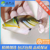 鸳鸯炮弹Rhinecanthus aculeatus 商品缩略图0
