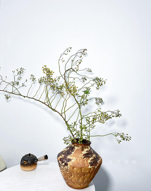 【AB级绿色山归来】1扎约3-5支/份 长约100-120cm（单独发货） 商品图7