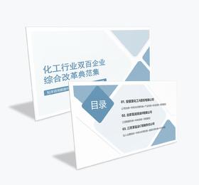案例研习 | 化工行业双百企业综合改革典范集-2024