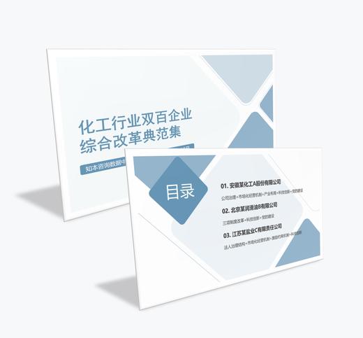 案例研习 | 化工行业双百企业综合改革典范集-2024 商品图0