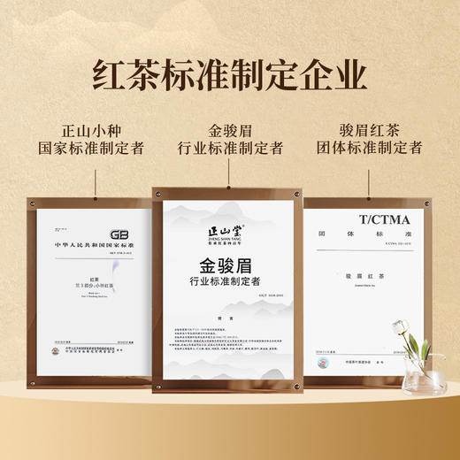 正山堂 宋风雅韵银骏眉礼盒装 正山小种红茶特级茶叶年货送礼102g 商品图4