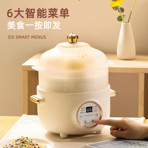 龙的电炖锅电炖盅LD-DG1520 商品图2