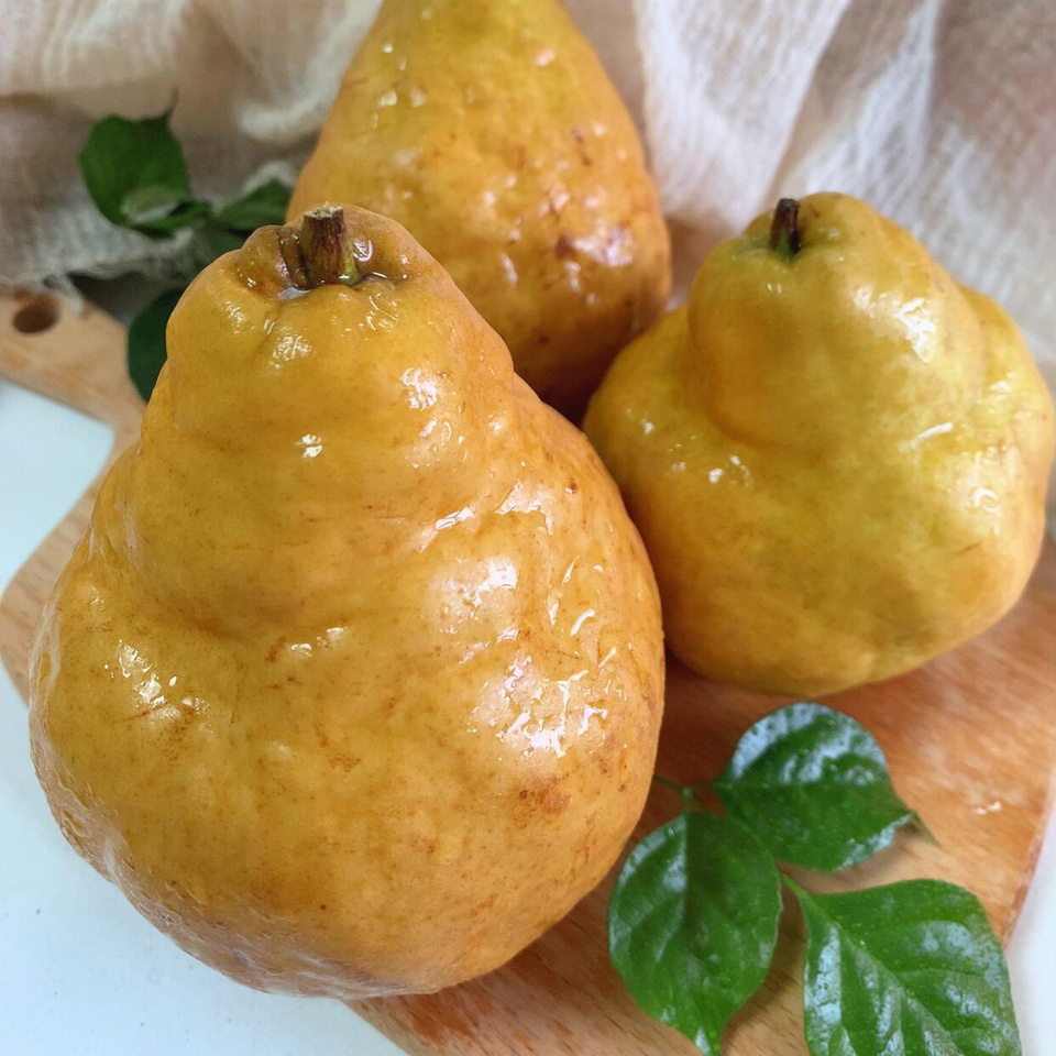 吃软不吃硬”的中华丑梨  丑得出奇，甜得惊艳 果肉细密软糯，一款适合老人孩子吃的梨