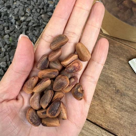 【一周发一次】【野生红松松子】自然的馈赠，健康的美味 纯天然生长 纯人工采摘远离农药化肥的污染，每一颗松子都是大自然的杰作 精选特大颗粒的松子，每斤仅有 850 颗大果 商品图4