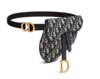 Dior(迪奥) saddle 马鞍包 刺绣老花满印logo 斜挎包 腰包 蓝色 商品缩略图0