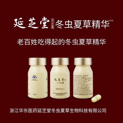 延芝堂 冬虫夏草精华胶囊 增强免疫力 滋补保健礼盒 60粒/瓶*0.4g/粒 商品图2