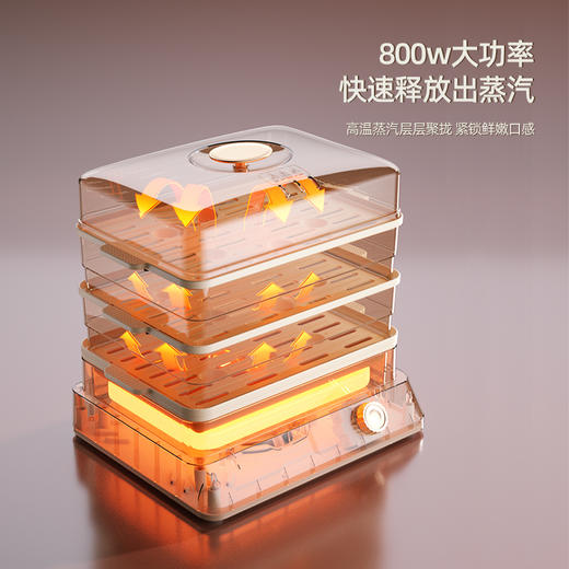 龙的多功能电蒸笼LD-ZL8018 商品图3