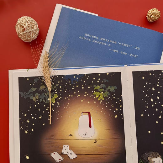 有你的日子 双视角诗画精装绘本  敬平凡日子的欢欣、失落和感动  浪花朵朵童书 商品图6