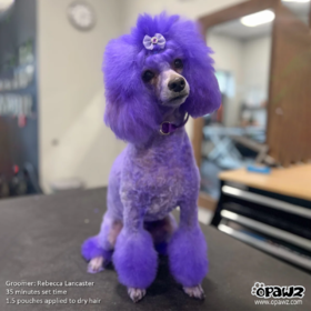 宠物染色焗油-紫色 200ml OPAWZ小爪印