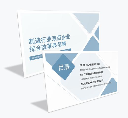 案例研习 | 金融行业双百企业综合改革典范集-2024 商品图0
