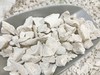 粗颗粒生龙骨500克 1kg 商品缩略图0