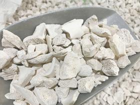 粗颗粒生龙骨500克 1kg