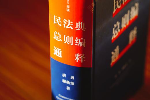 《民法典总则编通释》（逐条细致注解民法典总则编，穷尽条文中“最小单元及其组合”的含义与法律适用）丨非签名本 商品图14