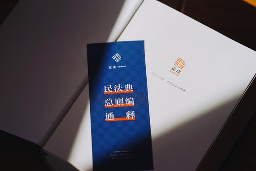 《民法典总则编通释》（逐条细致注解民法典总则编，穷尽条文中“最小单元及其组合”的含义与法律适用）丨非签名本 商品图9