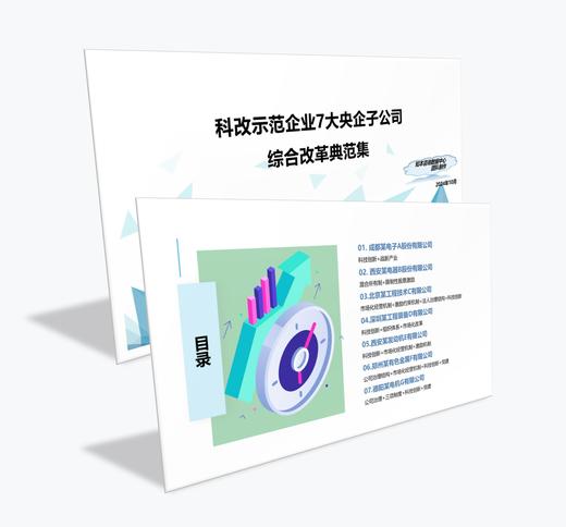 案例研习 | 科改示范企业7大央企子公司综合改革典范集-2024 商品图0
