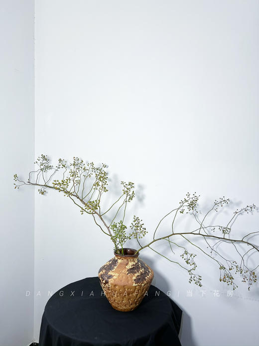 【AB级绿色山归来】1扎约3-5支/份 长约100-120cm（单独发货） 商品图9