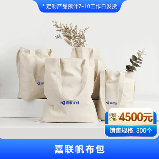 【嘉联周边】帆布袋 商品图0