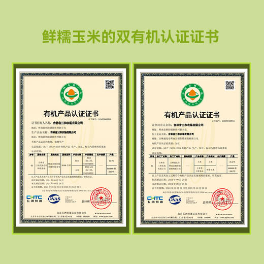 农场鲜食甜糯玉米东北真空速食玉米轻食代餐美味营养 商品图4