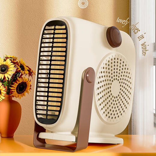 VCJ暖风机取暖器家用电暖器电暖气取暖电器暖风机办公室桌面电暖风烤火炉暖脚器电热扇热风机 商品图0