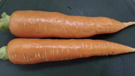 【生命食物】山西净土生态胡萝卜、白萝卜，净重5斤/箱包邮。 商品图2