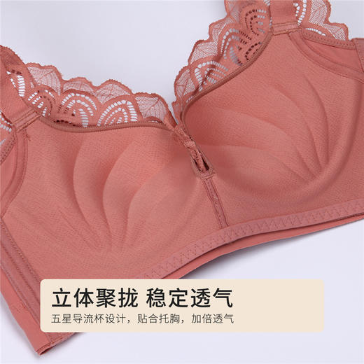 都市丽人内衣聚拢升杯树脂胶圈蕾丝中厚文胸LB11X9 商品图4