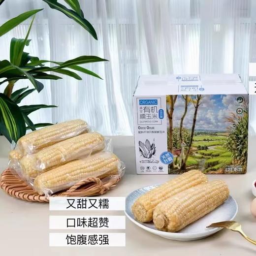 有机高叶酸玉米（真空/速冻）一款神奇的玉米🌽一根玉米上两种玉米粒糯玉米和水果玉米粒和谐共存糯玉米粒和水果玉米粒黄金口感比例：3:1;一口下去，又糯又甜 商品图1
