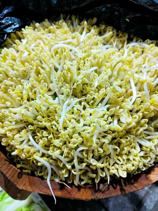 胖豆芽，1份0.5斤 商品图1