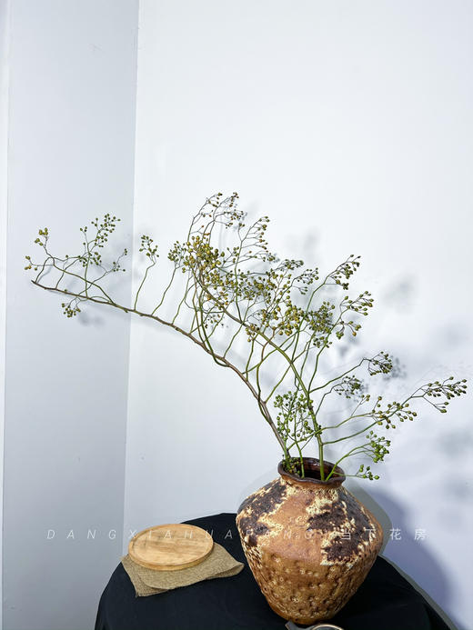 【AB级绿色山归来】1扎约3-5支/份 长约100-120cm（单独发货） 商品图1