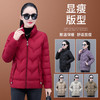 TZF-妈妈装立领防风保暖棉衣休闲简约纯色有内袋开衫外套 商品缩略图1