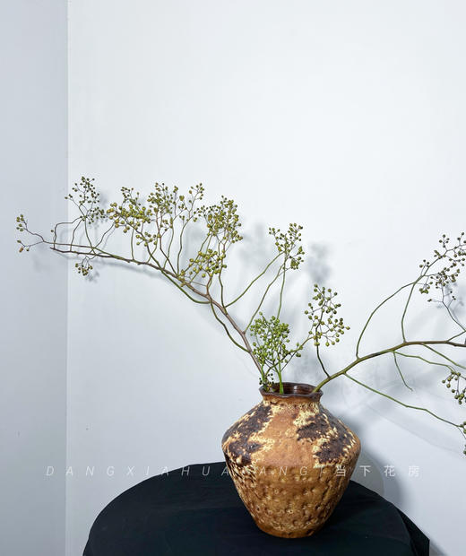 【AB级绿色山归来】1扎约3-5支/份 长约100-120cm（单独发货） 商品图6