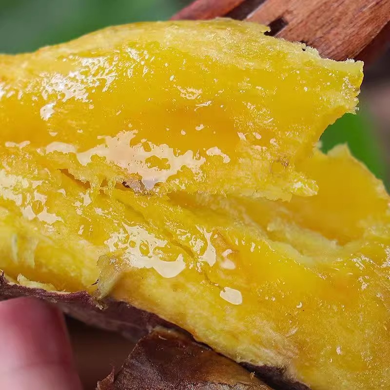 夏津县 榴莲蜜薯（净重5斤） 果瓤橙黄色 蜜甜流油