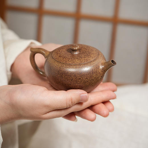 龙德堂陶艺 汤宣武柴烧作品《禅悟》150cc 原矿黄金段 (库存请咨询客服) 商品图2