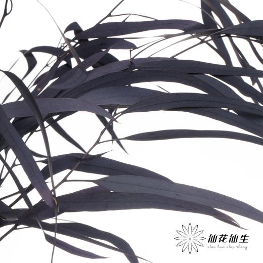 永生花材 | 小米果叶紫色 商品图2