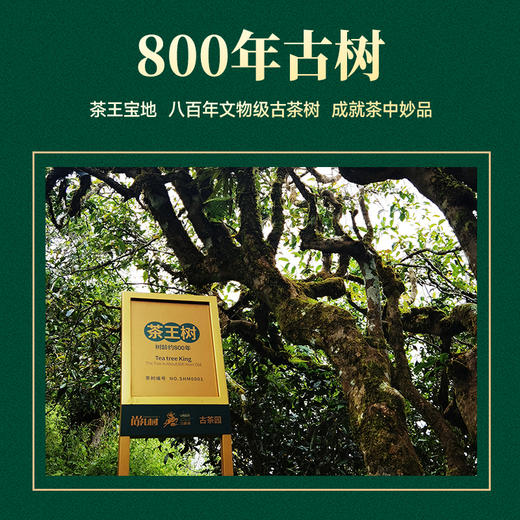 尚礼村2024年拾肆贵冠普洱生茶 商品图3
