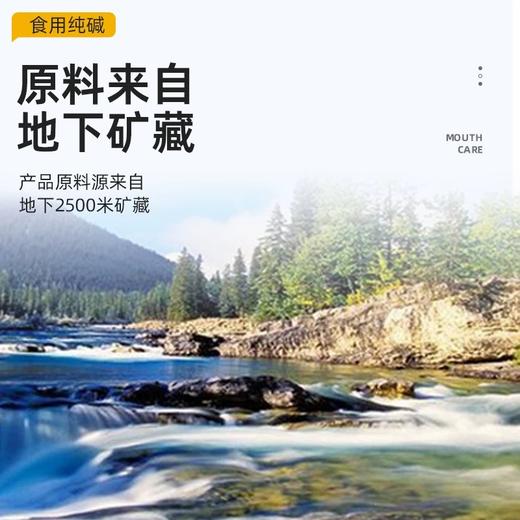 【博源自营】远兴 食用纯碱200g/500g/2.5kg/5kg袋装（新包装） 商品图1