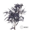 永生花材 | 小米果叶紫色 商品缩略图1