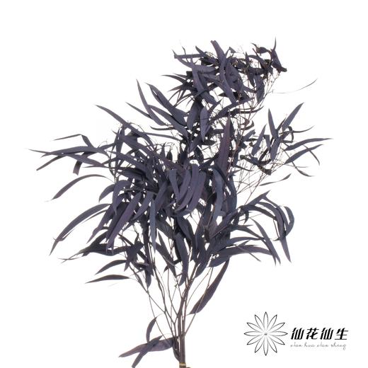 永生花材 | 小米果叶紫色 商品图1