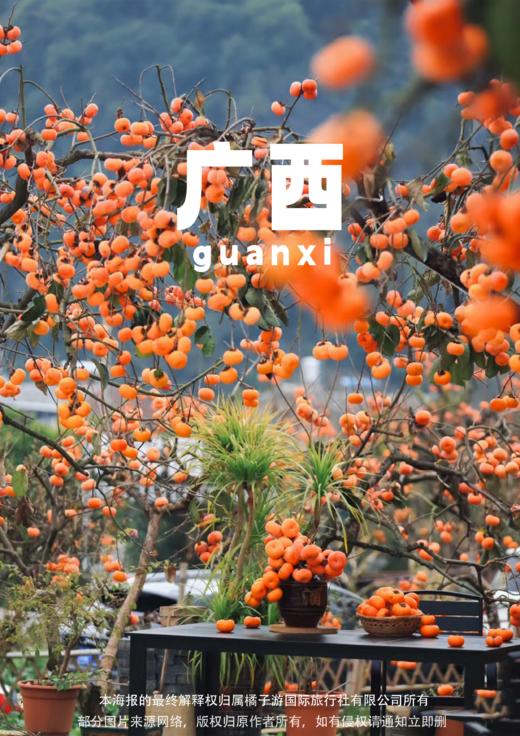 【纯美杏柿】 动车3天 商品图0