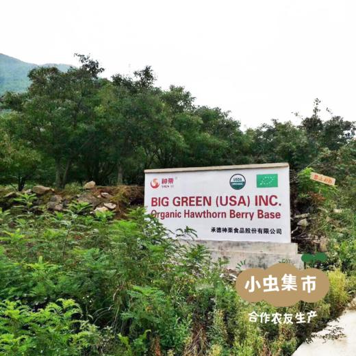 生态山楂 110g/100g | 合作农友生产，产自山楂之乡河北宽城，生产者：孟宪开  &【公平贸易农人定价】 商品图12