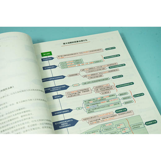 民商事裁判规则思维导图160例（全彩印刷、诉讼可视化） 董向阳著 法律出版社 商品图2