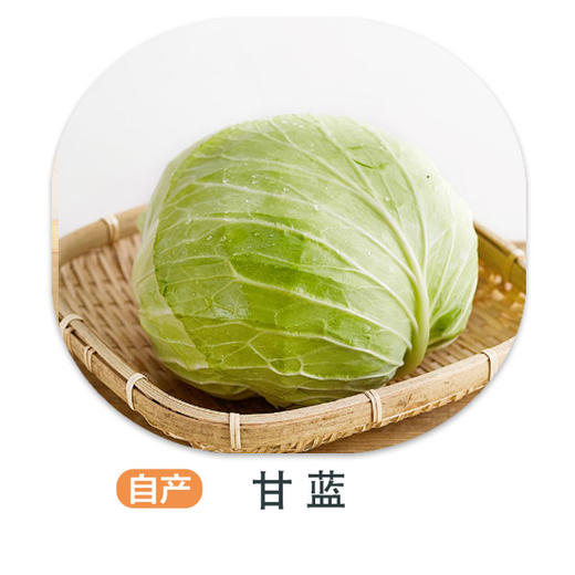 赞字村绿甘蓝 商品图0